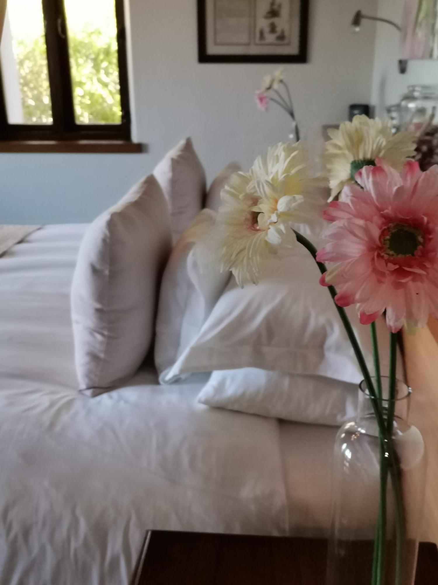 Paradise Cove 빅토리아 베이 외부 사진